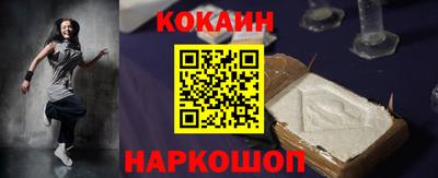индика Кингисепп