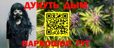 индика Кингисепп