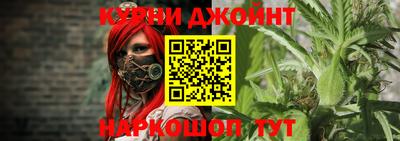 индика Кингисепп