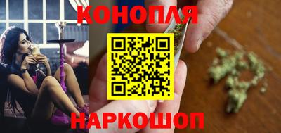 индика Кингисепп
