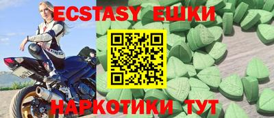 индика Кингисепп
