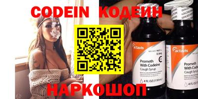 индика Кингисепп