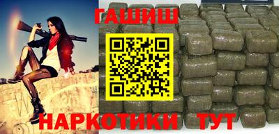 индика Кингисепп