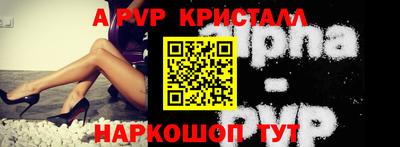 индика Кингисепп