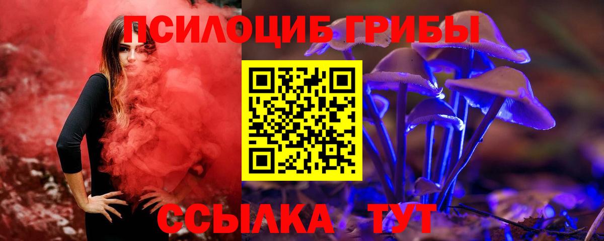 Урюпинск  Псилоцибиновые грибы мицелий  Вход с VPN  Псилоцибиновые грибы Magic Shrooms 